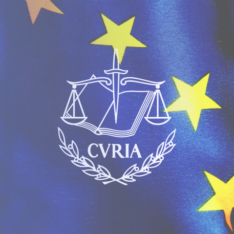CJEU judgment: common position of civil society organisations