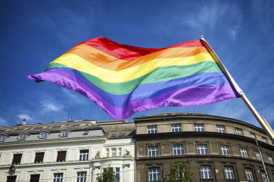 Opinia przyjaciela sądu w sprawie zakazu organizacji Marszu Równości w Gnieźnie